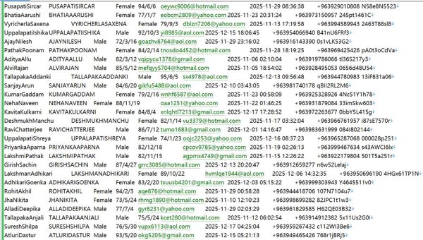 叙利亚Bridge Connect投资收益584W