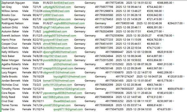 德国MEAG Eulerpool投资收益同比列表585W