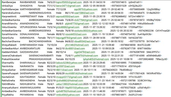 阿富汗Afghan Geeks高薪工作效率提升553W