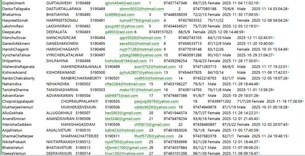 卡塔尔Adaptability高薪工作效率提升383W