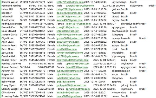 巴西Hacker高薪工作招聘面试543W