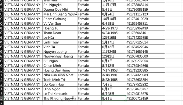 越南人在德国2万+过重复资料5+