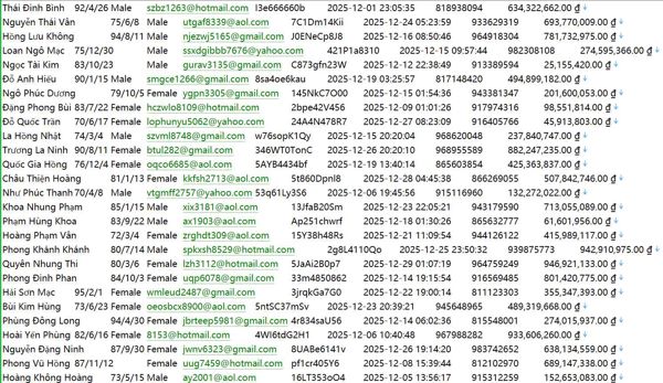 越南（SSI）股票投资用户个人信息487W