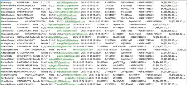 伊拉克金融从业者531W