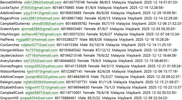 马来西亚🇲🇾3C购物httpslelong.com.my633w