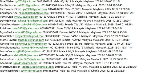 马来西亚🇲🇾本土购物httpszilzar.com729w