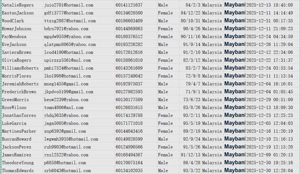 12月马来西亚银行黄金债券投资理财客户maybank2u.com668w