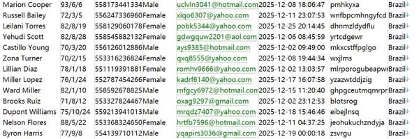 巴西12月巴西TORO托罗投资在线证券金融投资593w
