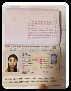 中国护照220个