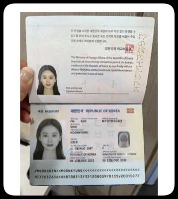 韩国护照100个