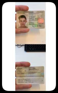 110套德国身份证正反+自拍