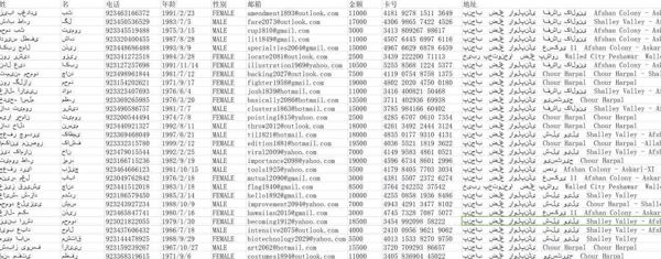 巴基斯坦389万贷款数据