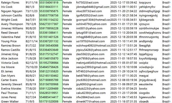 巴西顶级资产管理公司（www.xpi.com.br）836w