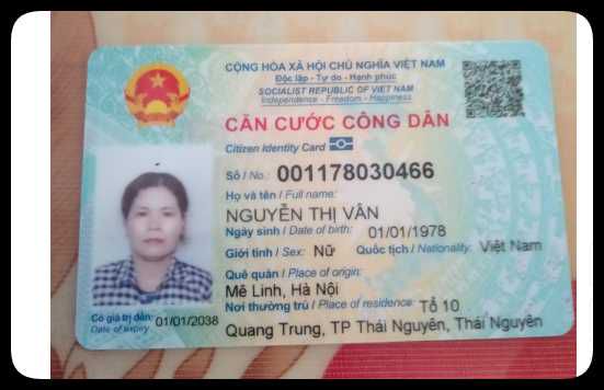 越南身份证正反110套