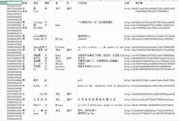 意大利华侨带V底料2.9万-以去重
