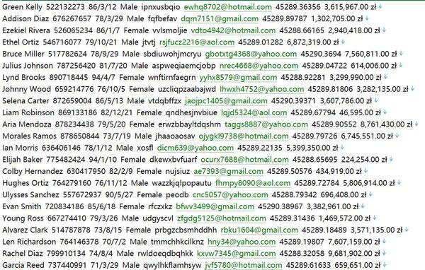 波兰（Wittchen）高端皮具消费信息471w