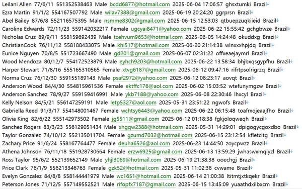 巴西（H.Stern）高消费珠宝，宝石个人信息787w