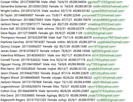 埃及（Vendly）奢侈品电商个人消费信息534w