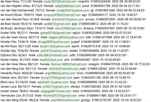 荷兰（Pricewise）金融贷款，个人企业保险信息573w