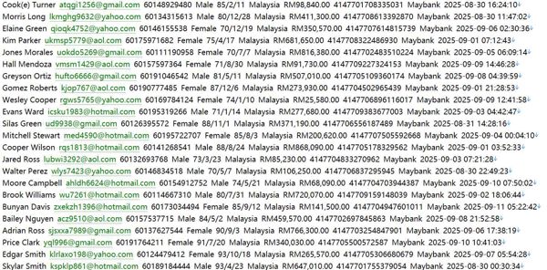 马来西亚（Maukerja）本土求职网个人数据678w
