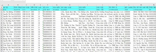 100萬+越南股民，過重複質料10+