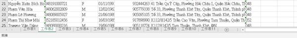 越南社保數據質量7+1000萬+過重複。