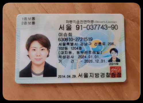 韩国驾驶证正反+手持10套