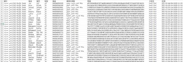 11月17号出库， 沙特第二大银行体系阿尔拉吉银行信用卡数据-上传图片为数据格式-拍后自动发货！持续更新！禁止倒卖！