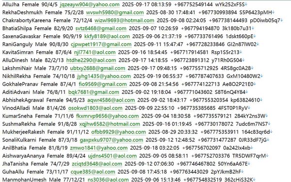 也门（YIC）也门投资公司个人投资用户信息533w