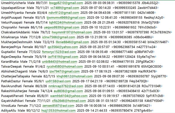 叙利亚（rebuilding-syria.com）投资对接平台。提供基建，房地产等613w