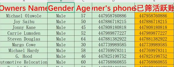 英国房产40岁以上男士WS活跃用户1200条