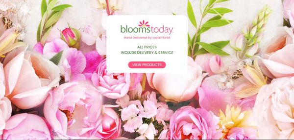 美国鲜花速递网站购物客户数据-345万-bloomstoday.com-以去重