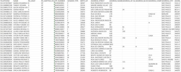 电话、姓名、发出状态、CPF号码、性别类型、出生日期、街道地址、门牌号、AP 号码、街区号码、地址补码、城市地址