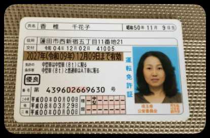 日本驾驶证正反+手持54套