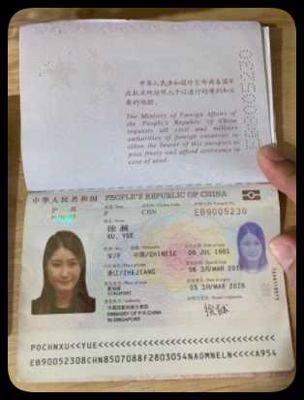 中国护照27份