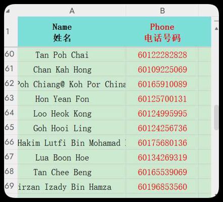 马来西亚高管300条数据名字+电话+性别+城市+种族+部分职位