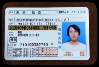 日本驾驶证正反+手持 23套