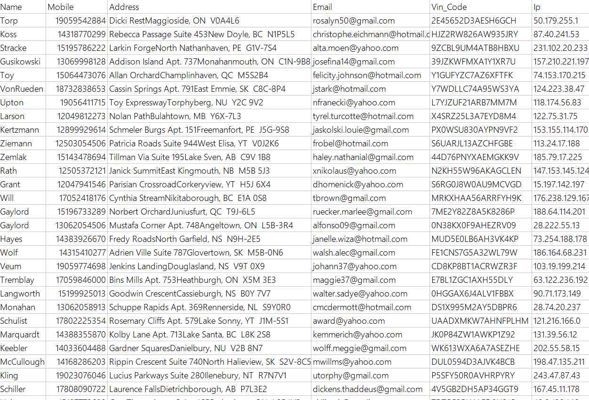 加拿大车主数据396万，数据具体看下方截图，数据为xlsx格式，一共3965986条，电话全，无空行，可自行验证，拍下自动发货。
⚡️⚡️注意：虚拟物品易复制 拍下不予退款 拍下默认同意 拍前请三思,感谢您的理解！

本人专卖国外数据，有需