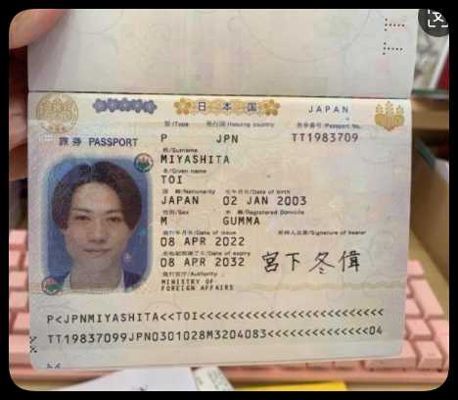 日本护照20套