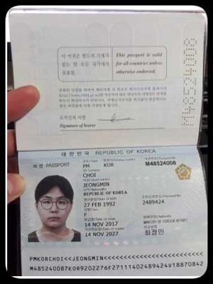 韩国护照144套，精心挑选，