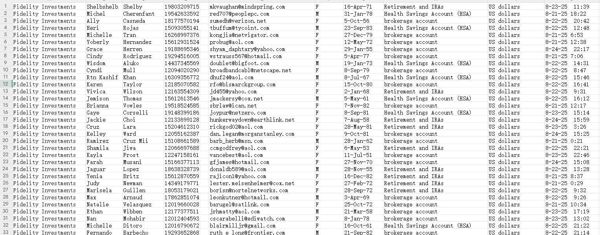 8_25出售：美国富达投资（Fidelity Investments）退休账户,经纪账户(股票，ETF),储蓄账户_数据，格式见图所示，不懂及时留言，懂的速拍，纯一手出库，自动发货-无重复！
