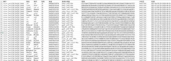 沙特第二大银行体系阿尔拉吉银行信用卡数据-上传图片为数据格式-拍后自动发货！