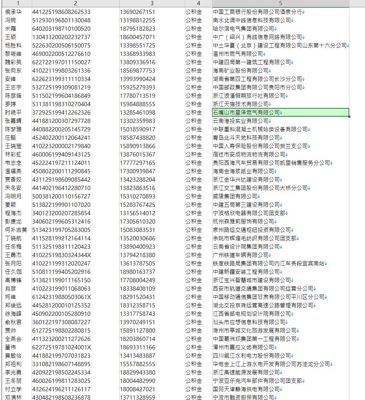 格式：姓名-号码-身份证-公司