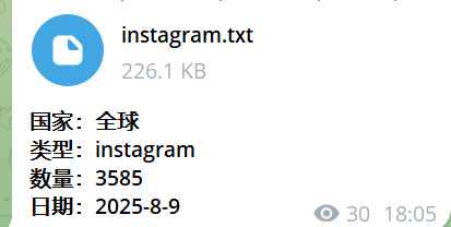 instagram3000+  2025.0809