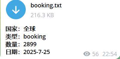 bookingquanqiu 密正2.8K