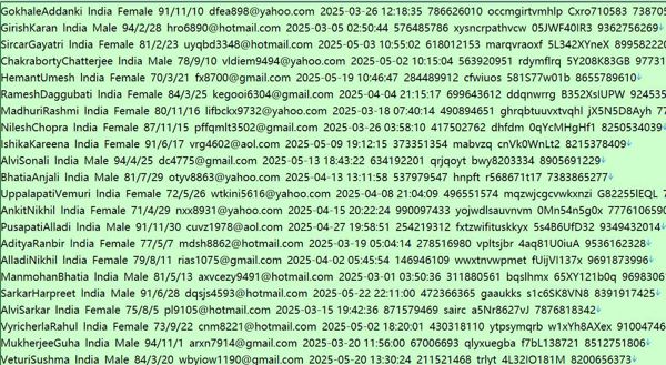 印度Zerodha证券股民股票交易349w