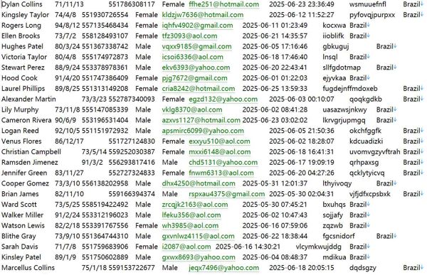 巴西🇧🇷企业管理httpslojadoponto.com.br381w