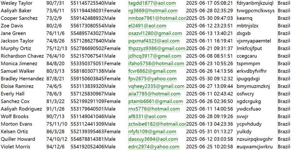 巴西🇧🇷股票httpsvelocitytrade.com460w