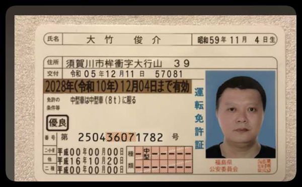 日本驾驶证+手持50套