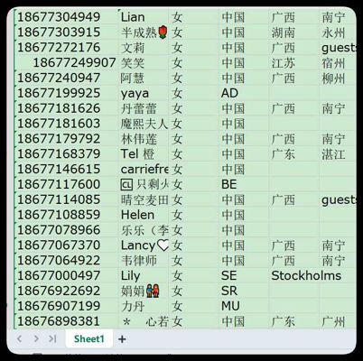 真爱网2000 相亲(2)